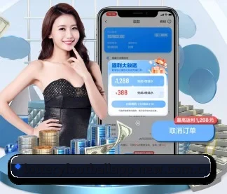 公司成立